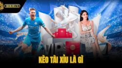Kèo Tài Xỉu Là Gì – Hướng Dẫn Over/Under Bóng Đá